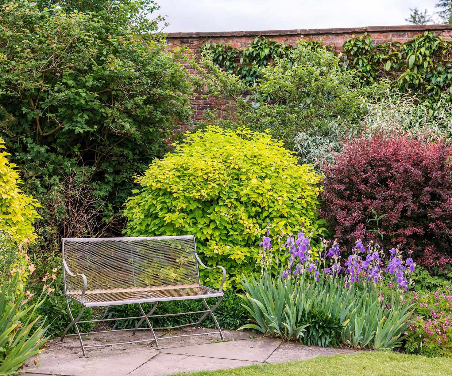 colorful shrubs along wall with bench