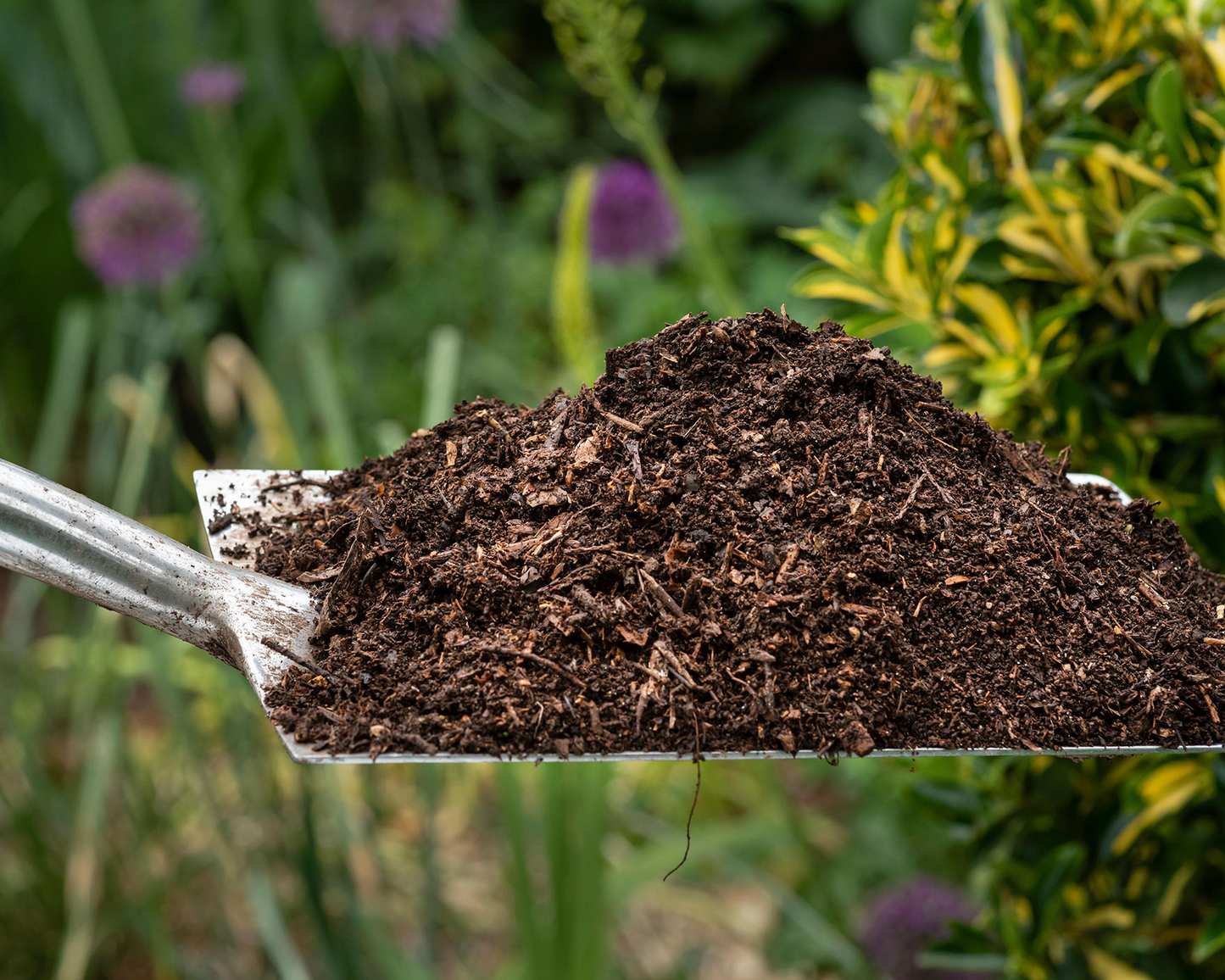 compost on a shovel
