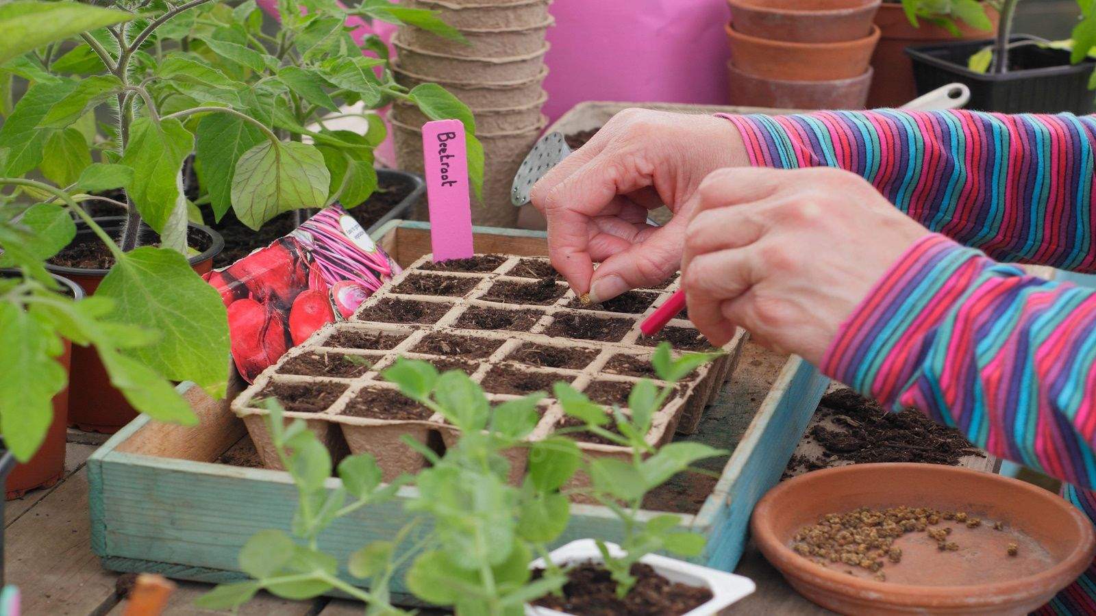 How to prepare for seed sowing – 7 game-changing tips to try