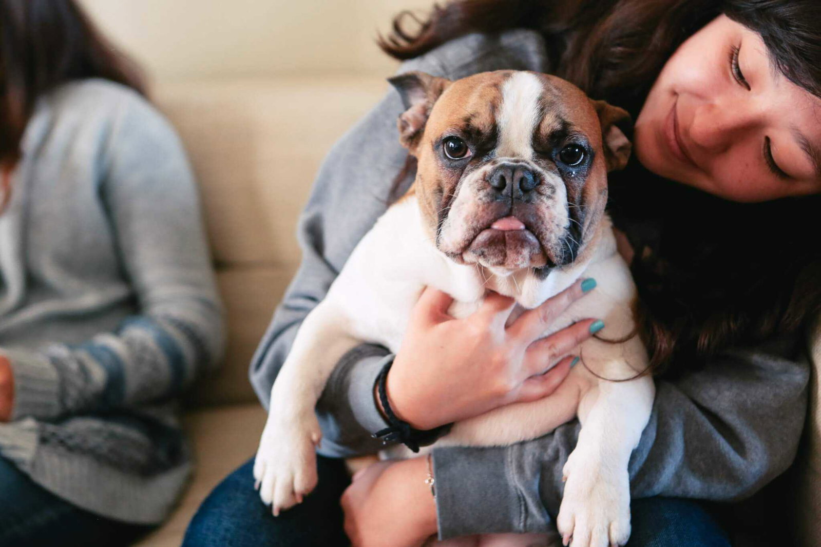 Is Pet Insurance Really Worth It? Your 101 Guide