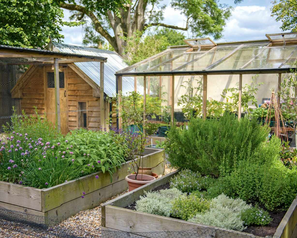 greenhouse in a garden
