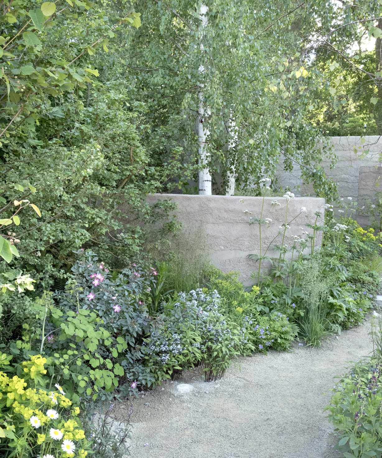 shrubs planted in a gravel garden next to a path