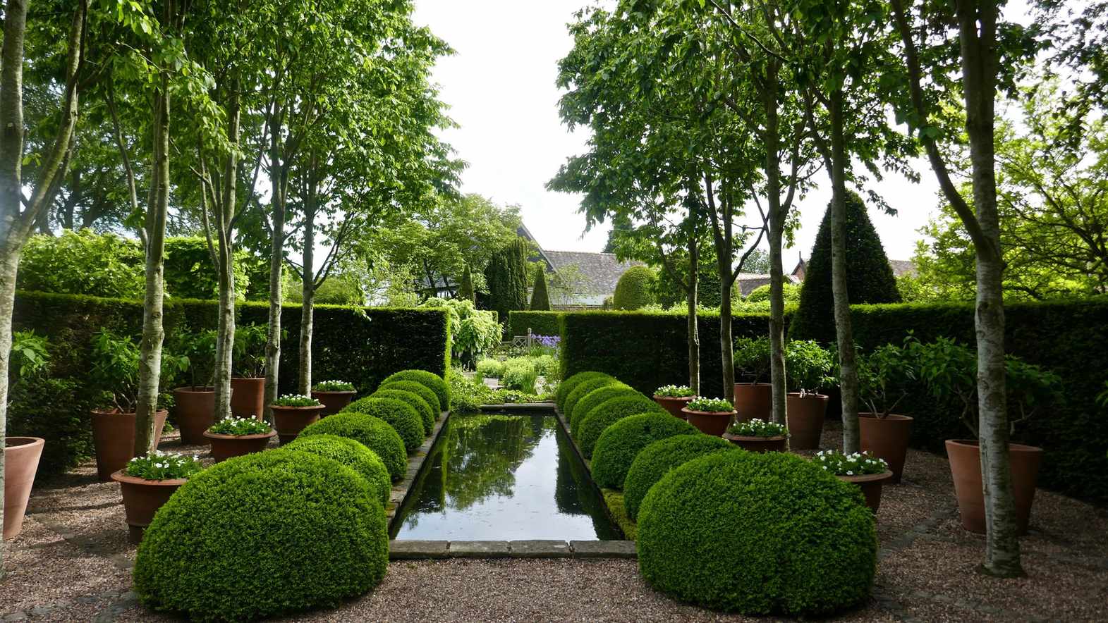 Landscaping with evergreens – 9 ways to add structure and interest to your garden year round