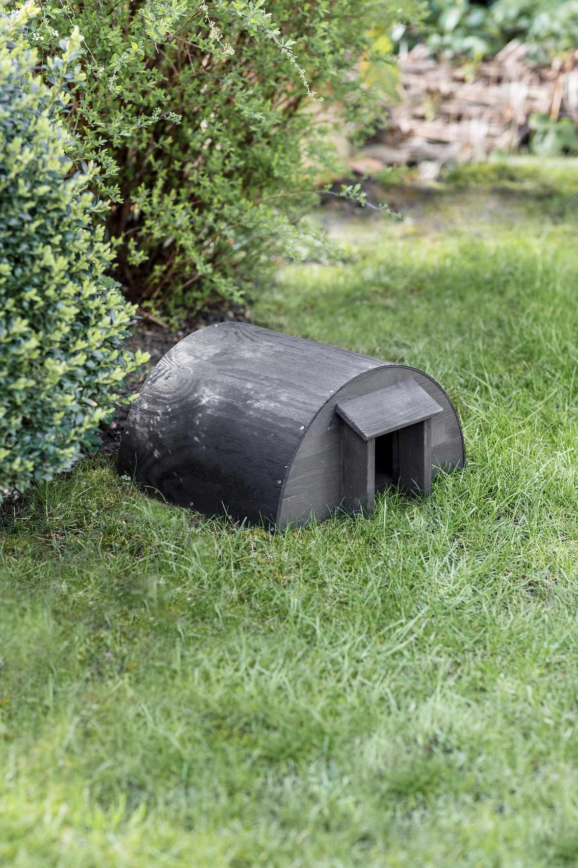 hedgehog house in garden