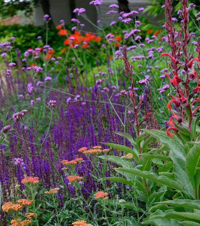 Border with hot colors