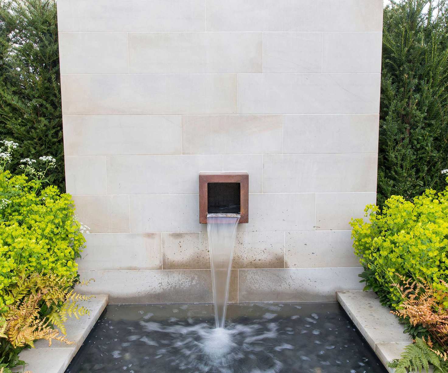 euphorbia on either side of a water feature