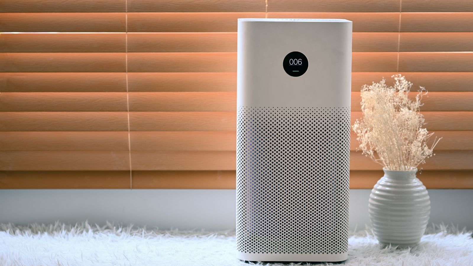 What to look for in an air purifier – HVAC experts offer their best tips for this important investment
