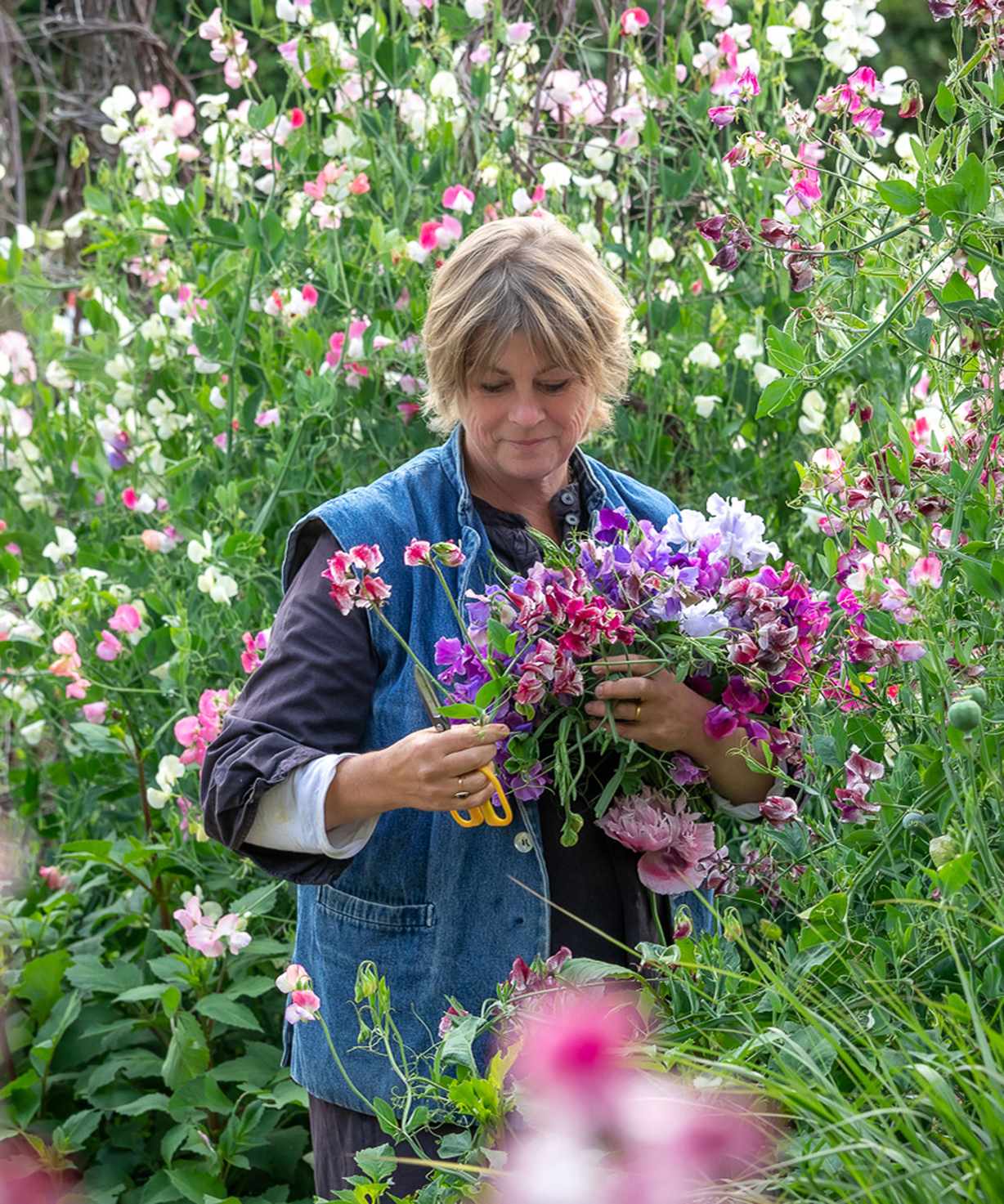 Sarah raven tips for growing rosemary