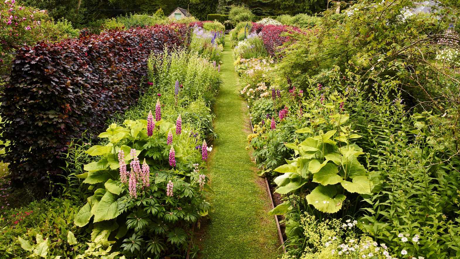 How to plant a flower bed — the essential guide to planting beautiful flowers